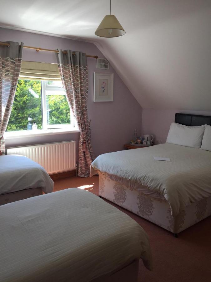 Padua Guest Accommodation Rosslare 罗斯莱尔 外观 照片