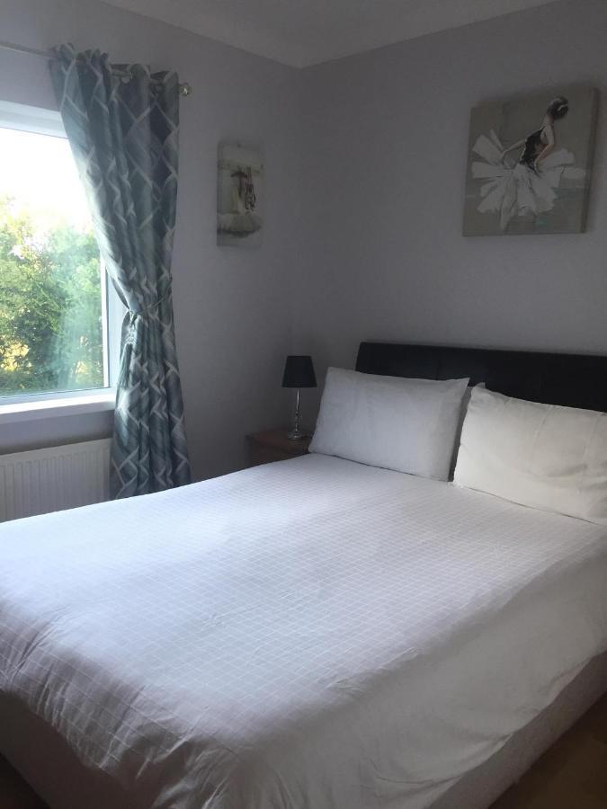 Padua Guest Accommodation Rosslare 罗斯莱尔 外观 照片