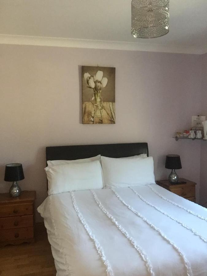 Padua Guest Accommodation Rosslare 罗斯莱尔 外观 照片