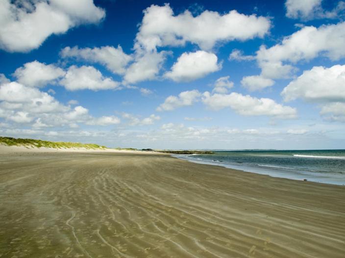 Padua Guest Accommodation Rosslare 罗斯莱尔 外观 照片