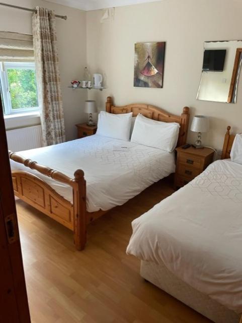 Padua Guest Accommodation Rosslare 罗斯莱尔 外观 照片