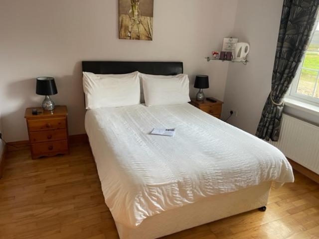 Padua Guest Accommodation Rosslare 罗斯莱尔 外观 照片