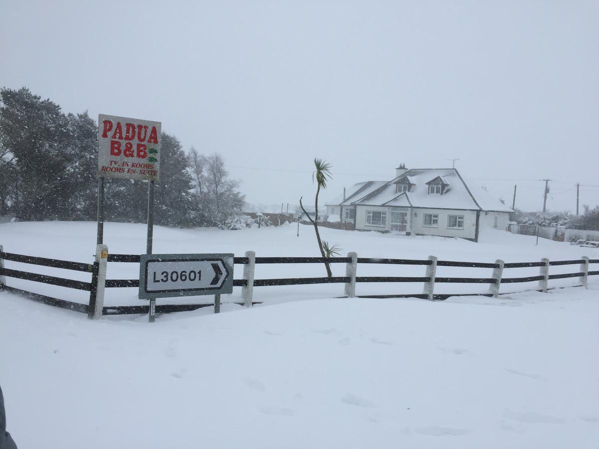 Padua Guest Accommodation Rosslare 罗斯莱尔 外观 照片